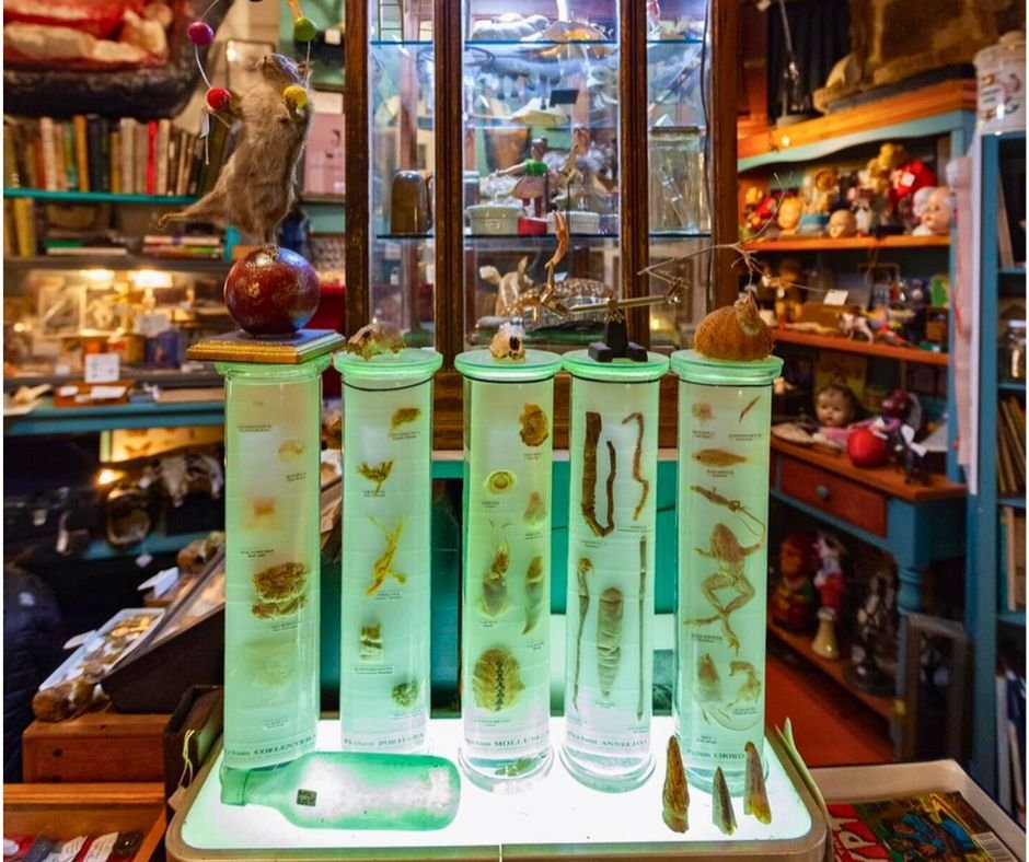 Photo from Oddities Flea Market