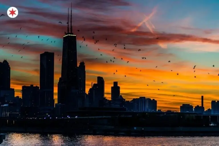 We Asked Locals The Best Time To Visit Chicago. Here’s The Brutal Truth.