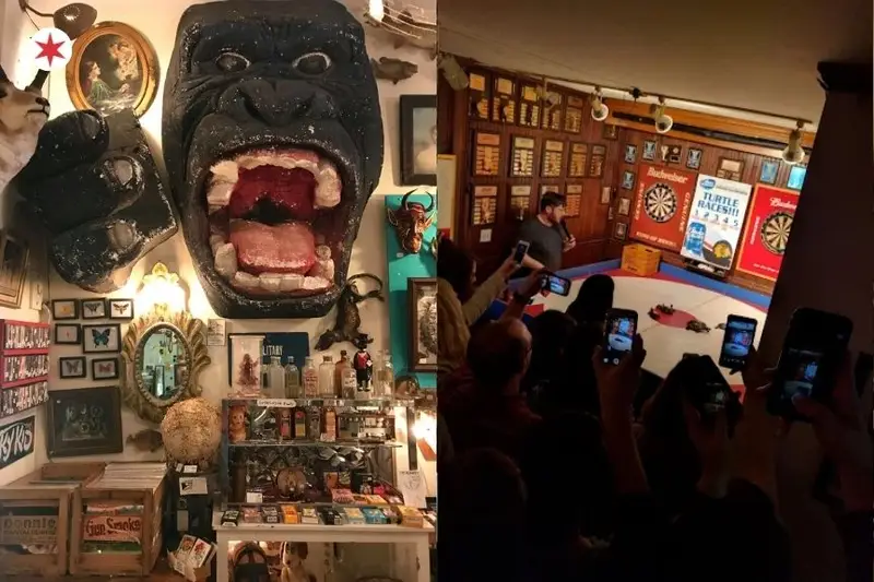 Unusual things to do in Chicago