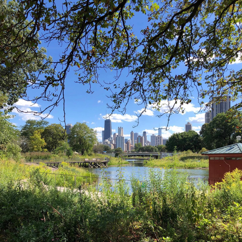 Lincoln Park Zoo