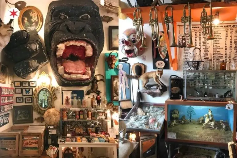 Inside Woolly Mammoth: Chicago’s Weirdest (And Coolest) Antique Shop
