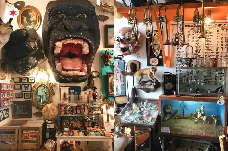woolly mammoth antiques shop