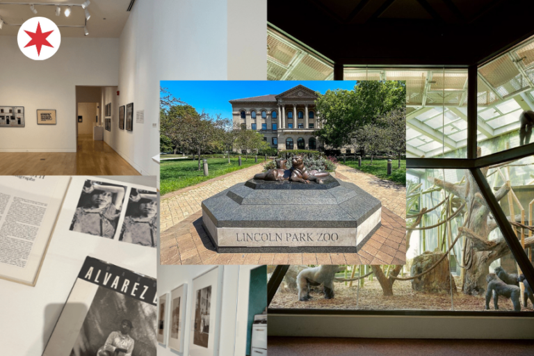 The 16 Absolute Best Things To Do In Lincoln Park (That Even Lifelong Chicagoans Forget About)