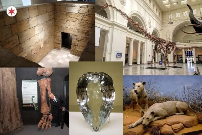 The 12 Most Mind-Blowing Things To See at The Field Museum (And the Wild Stories Behind Them)