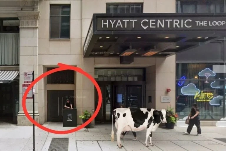 The Secret Cow Path Hidden in Chicago’s Loop