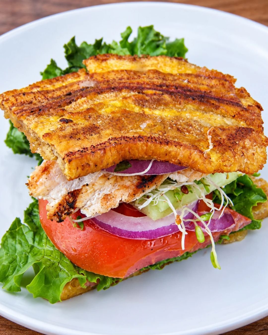 A close-up shot of a chicken jibarito sandwich served on a white plate. Grilled chicken breast is layered with green leaf lettuce, a thick slice of red tomato, red onion rings, cucumber slices, and alfalfa sprouts, all held together by two crispy, golden-brown fried green plantains instead of bread.