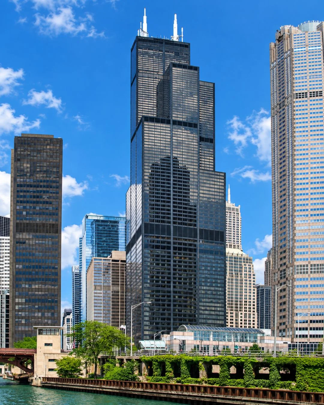 The towering black glass and steel Willis Tower stands prominently over the Chicago River alongside other skyscrapers under a bright blue sky with light clouds. An elevated multi-lane roadway covered in green ivy runs along the riverbank in the foreground, with the water reflecting the surrounding architectural structures.